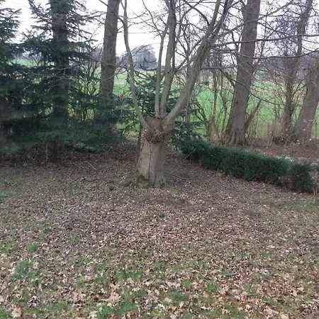 Bauernhof Siebert Farm stay